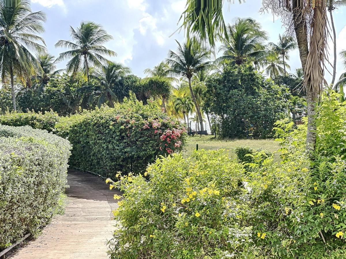Blue Paradise Studio Avec Acces Privatif Plage Le Gosier  Luaran gambar